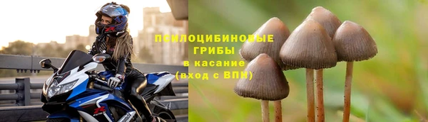 а пвп мука Армянск