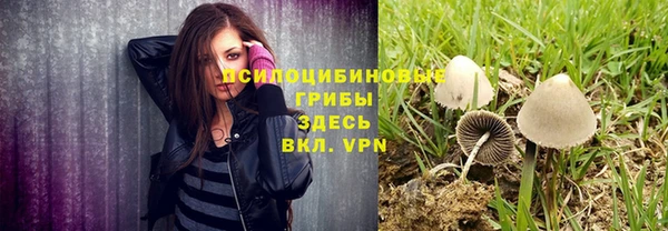а пвп мука Армянск