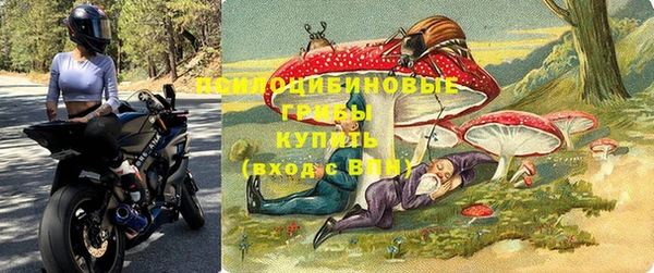 а пвп мука Армянск