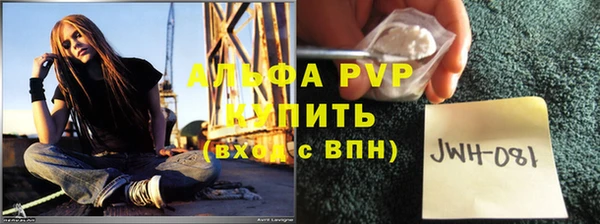стафф Арсеньев