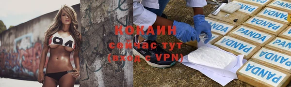 стафф Арсеньев