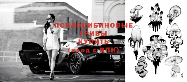 стафф Арсеньев