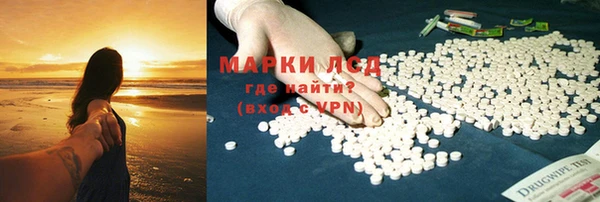 стафф Арсеньев